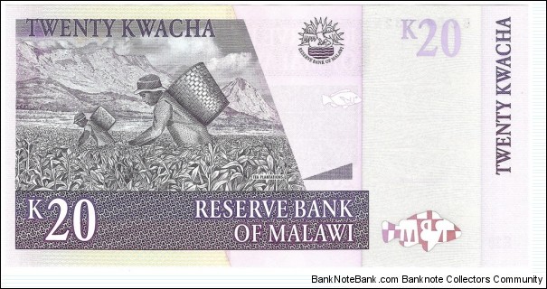 Banknote from Malawi year 2007