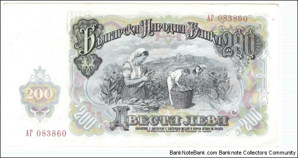 Banknote from Bulgaria year 1951