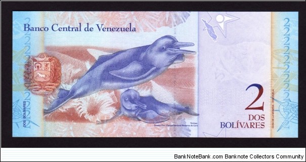 Banknote from Venezuela year 2008