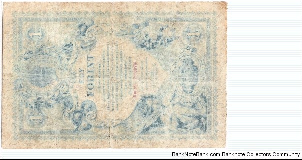 Banknote from Austria year 1888