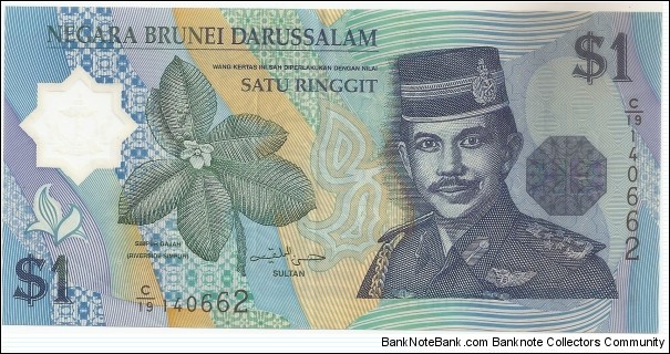 1 Bruneian Dollar Banknote