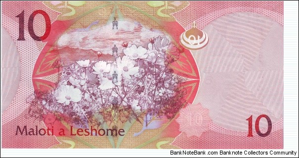 Banknote from Lesotho year 2010