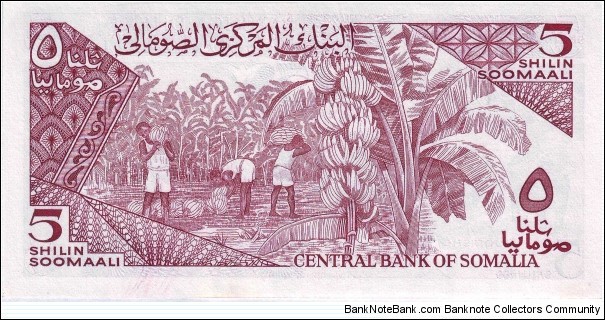 Banknote from Somalia year 1983