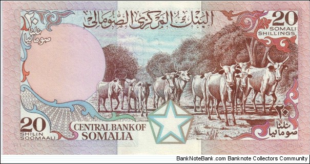 Banknote from Somalia year 1982