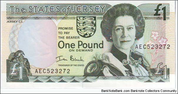  1 Pound Banknote