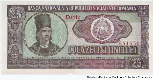  25 Lei Banknote