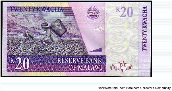 Banknote from Malawi year 2009