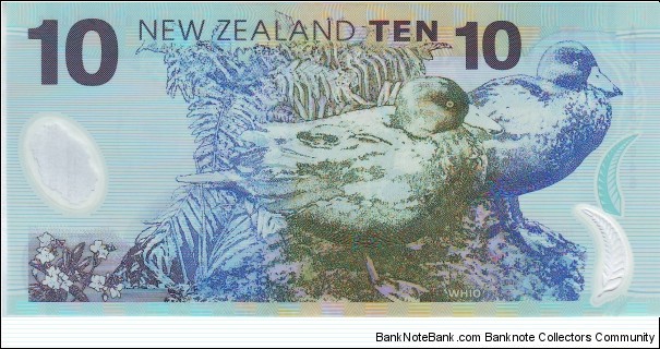 Banknote from New Zealand year 2007