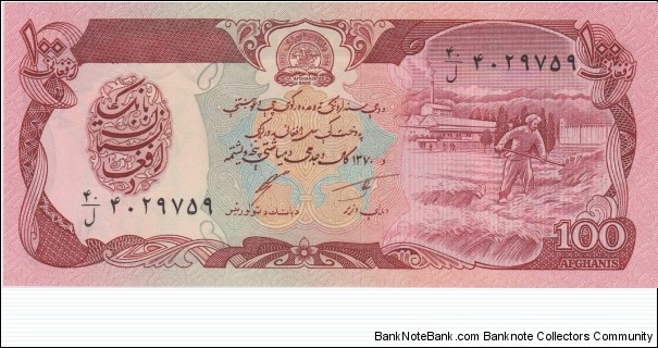 Afghanistan 100 afganis 1990 Banknote