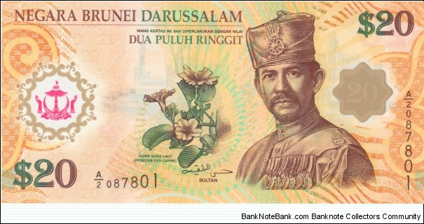 Brunei 20 ringgit 2007 