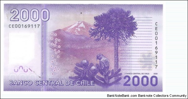 Banknote from Chile year 2009