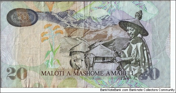 Banknote from Lesotho year 2009
