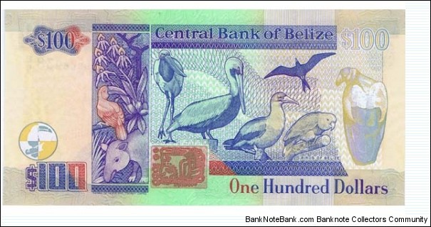 Belize 100 Dollars; bird  Banknote