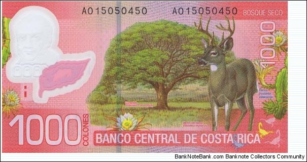 Costa Rica 1000 Colones  Banknote