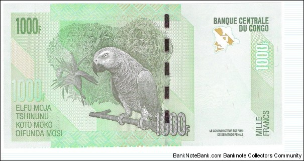 Banknote from Congo year 2005
