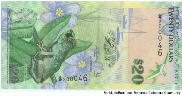20 Dollar Banknote