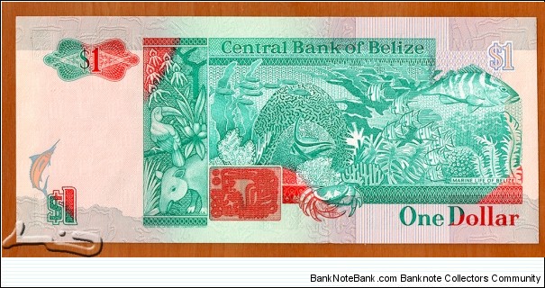 Banknote from Belize year 1990