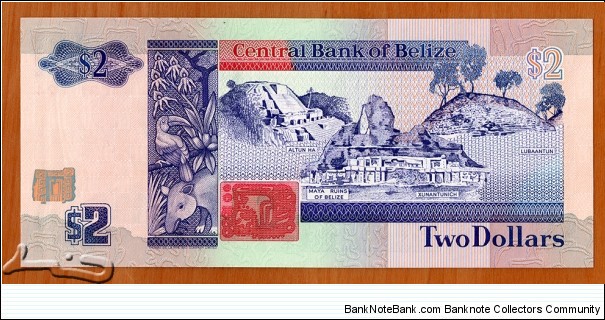 Banknote from Belize year 1991