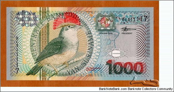 Suriname | 
1,000 Gulden, 2000 | 

Obverse: Fauna, flora and map of Suriname, and a Royal Flycatcher | 
Reverse: The flower Orchidaceae violacea, and Building of the Central Bank of Suriname | 
Watermark: Building of the Central Bank | Banknote
