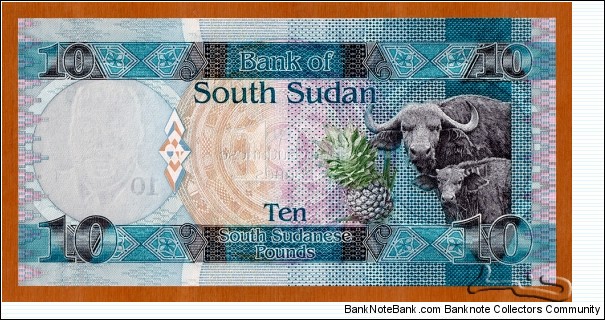 Banknote from Sudan year 2011