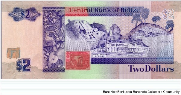Banknote from Belize year 1991