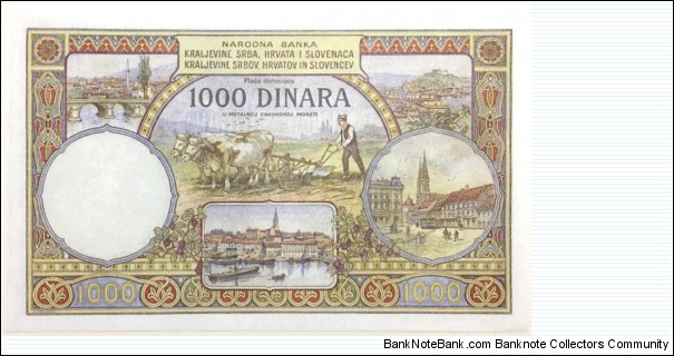 Banknote from Yugoslavia year 1920
