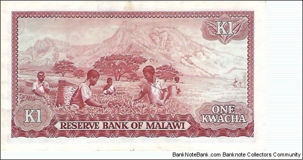 Banknote from Malawi year 1978
