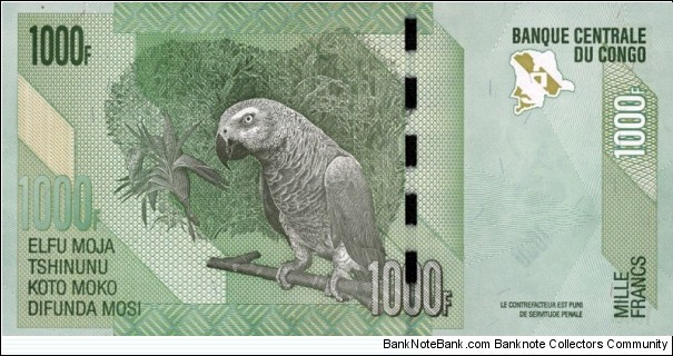 Banknote from Congo year 2005