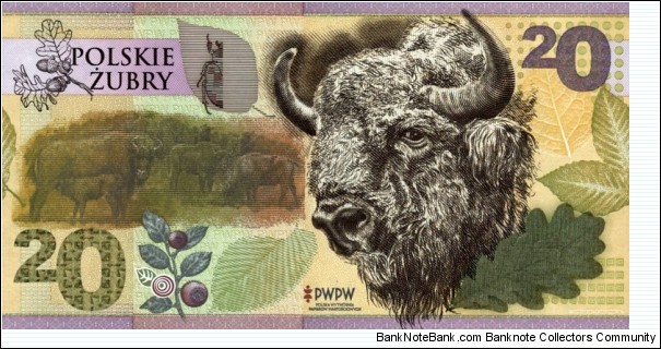 Test Note PWPW - Polish Bisons Banknote