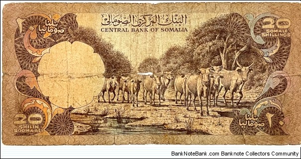 Banknote from Somalia year 1978