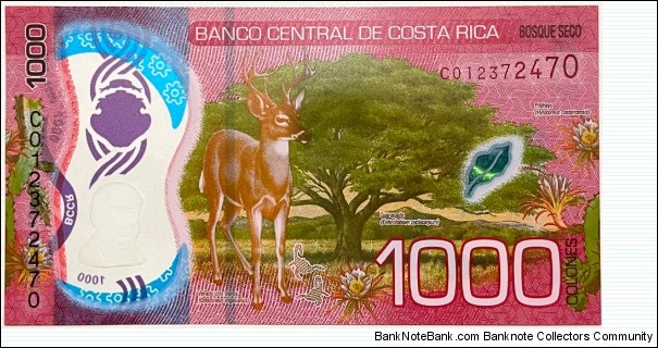 Banknote from Costa Rica year 2019