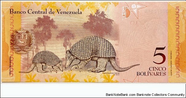 Banknote from Venezuela year 2014