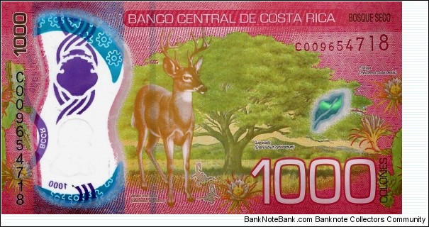 Banknote from Costa Rica year 2019