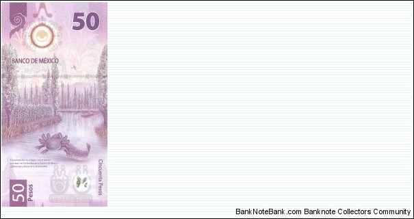 Banknote from Mexico year 2021