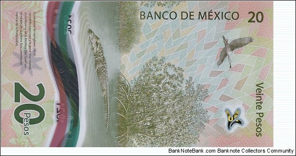 Banknote from Mexico year 2023
