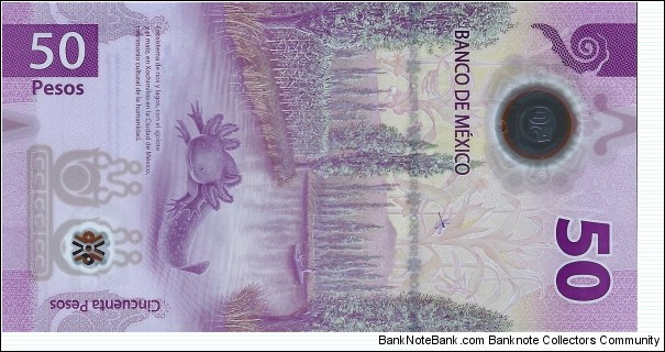 Banknote from Mexico year 2023
